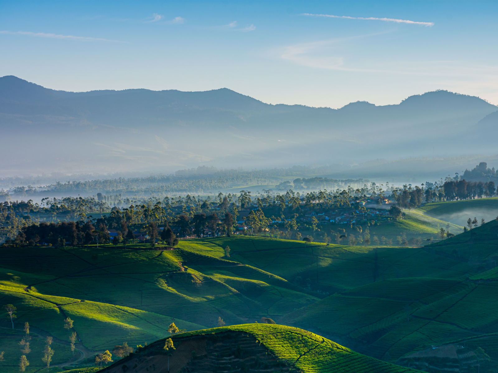 Pangalengan Lakeside & Tea Garden Private Day Tour